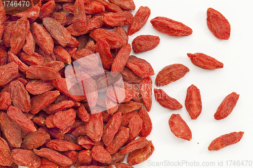 Image of Tibetan goji berry background