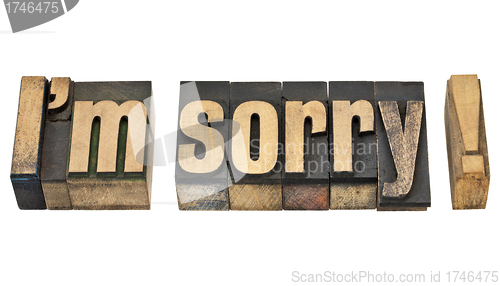 Image of I am sorry in wood type