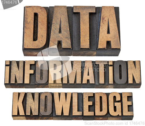 Image of data, information, knowledge in wood type