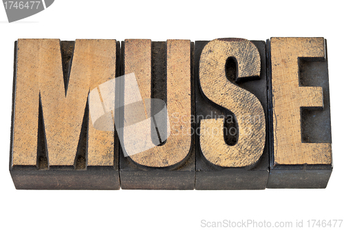 Image of muse word in wood type