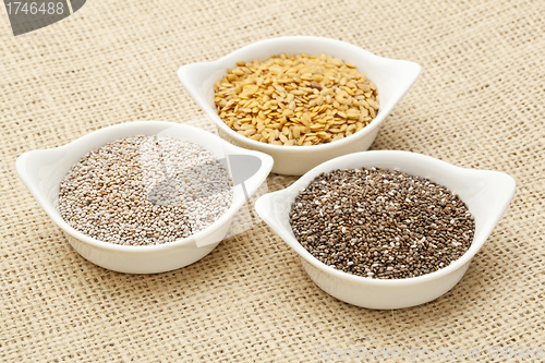 Image of chia and flax seed