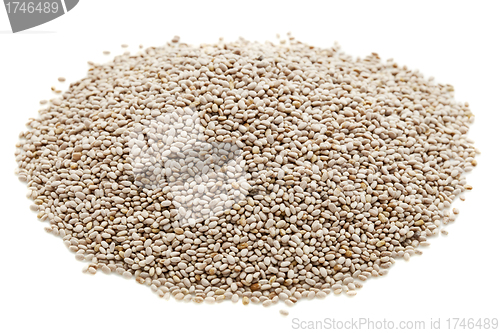 Image of organic white chia seeds 