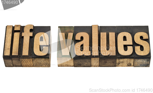 Image of life values in wood type