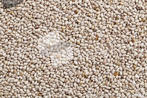 Image of white chia seeds background