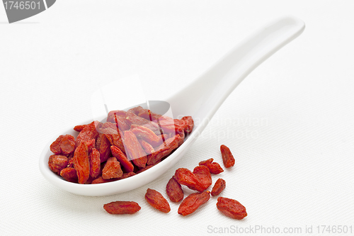 Image of Tibetan goji berry