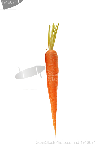 Image of carrots