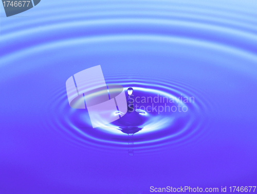 Image of Droplet falling in water