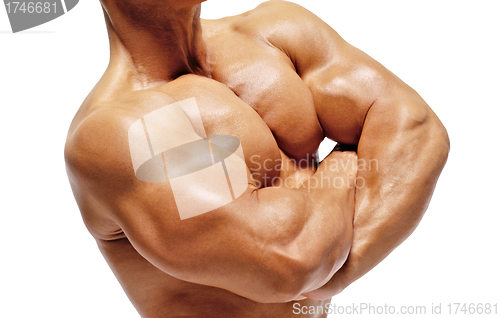 Image of Sexy muscular torso isolated on white