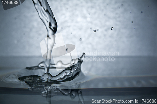 Image of Fresh water splash