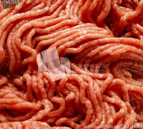 Image of Fresh raw minced meat background