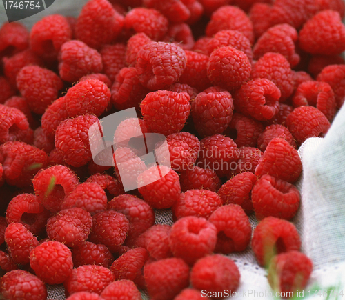 Image of A beautiful selection of freshly picked ripe red raspberries