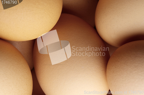 Image of Chicken eggs