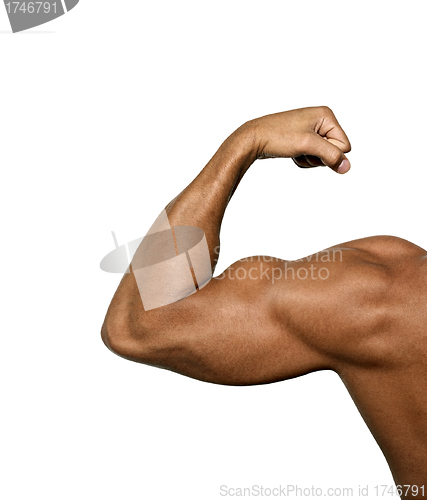 Image of strong biceps on a white background