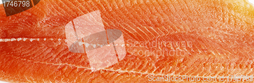 Image of red raw salmon fish food