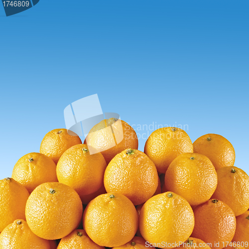 Image of fresh orange tangerines with blue sky