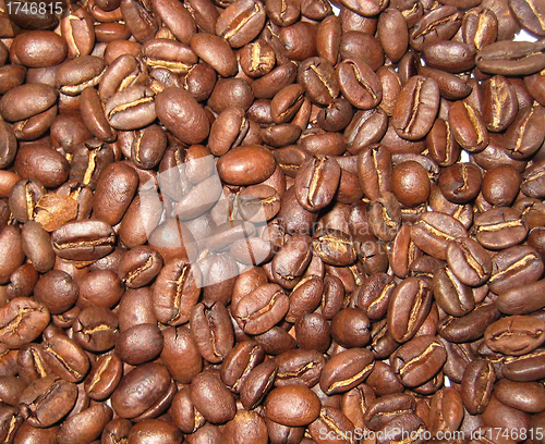Image of Coffee beans closeup background