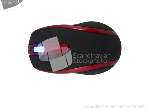 Image of computer red and black mouse isolated on white