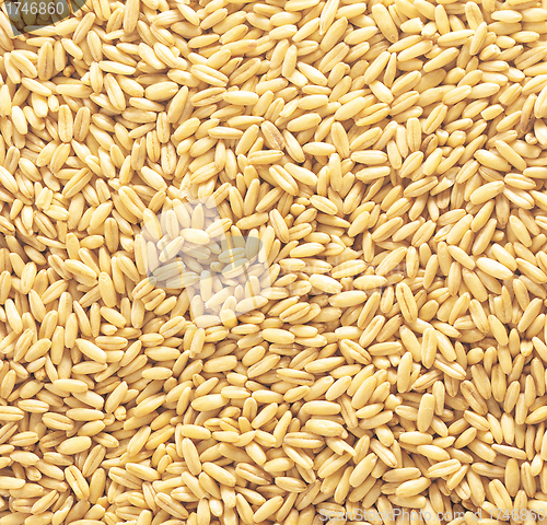 Image of natural oat grains background