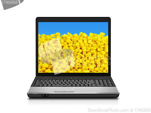 Image of laptop computer with corn