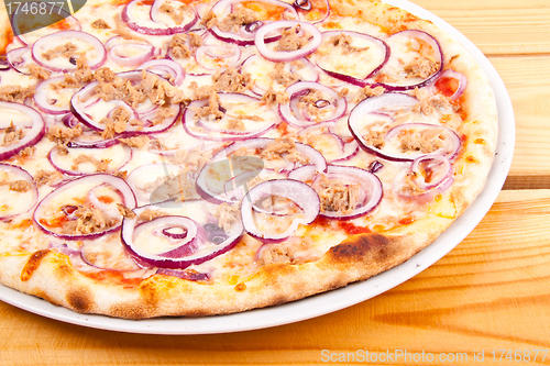 Image of pizza with onion and chiken meat