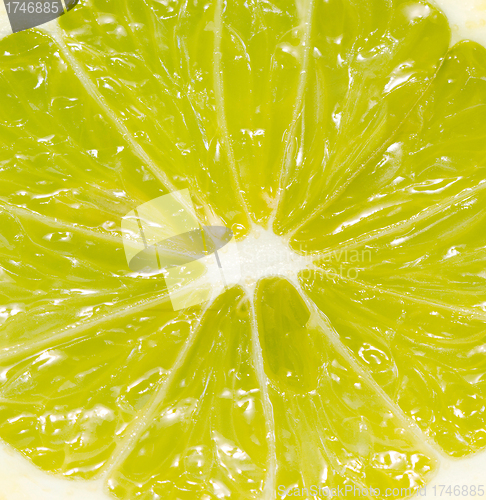 Image of lime macro