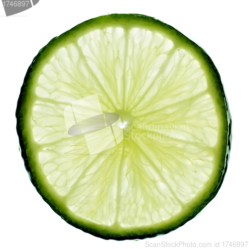 Image of Slice of lime, backlit and isolated on white.