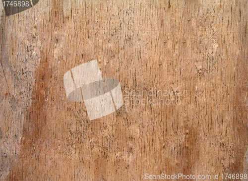 Image of Old wood texture