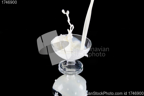 Image of Splash in a milk glass on black  - focus in glass