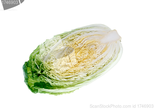 Image of Halved chinese cabbage, clean crossection isolated