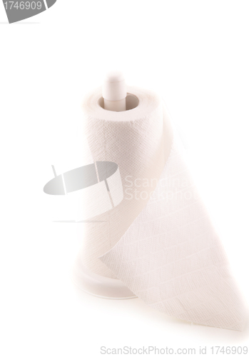 Image of hand paper towels roll