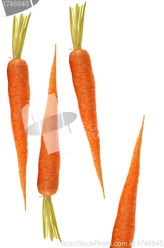 Image of Carrot isolated on a white background