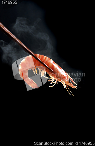 Image of single hot shrimp on black