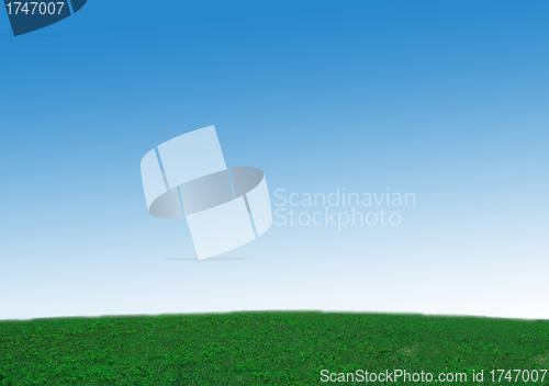 Image of fresh green grass with bright blue sky