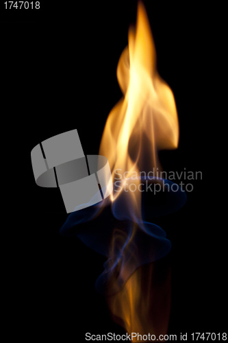 Image of small camp fire against a dark background