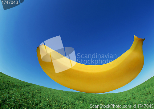 Image of big banana on grass - concept