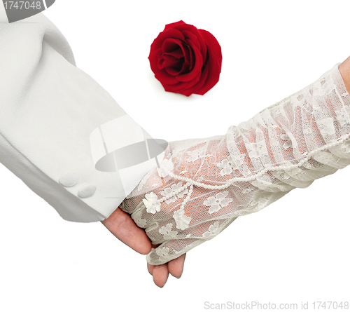 Image of Close-up Holding Hands with red rose