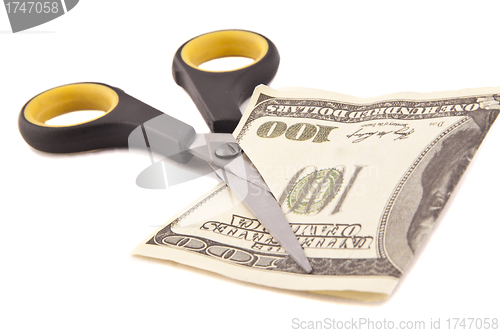 Image of Scissors cuts one american dollar note isolated