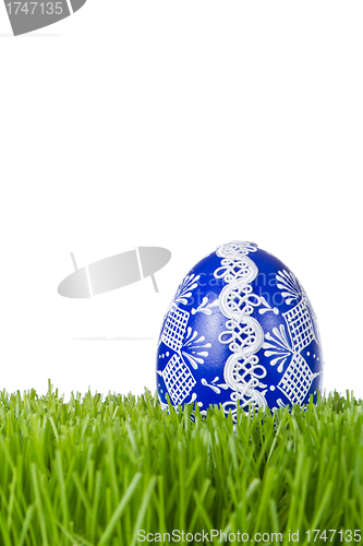 Image of easter egg in grass