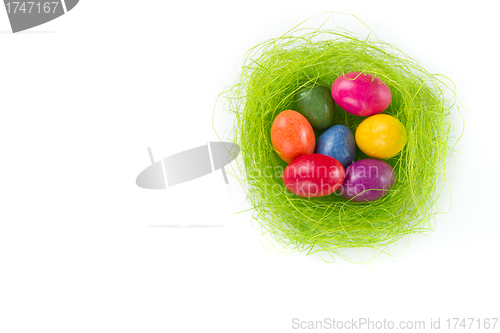 Image of easter eggs in nest