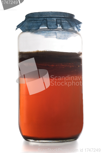 Image of Kombucha