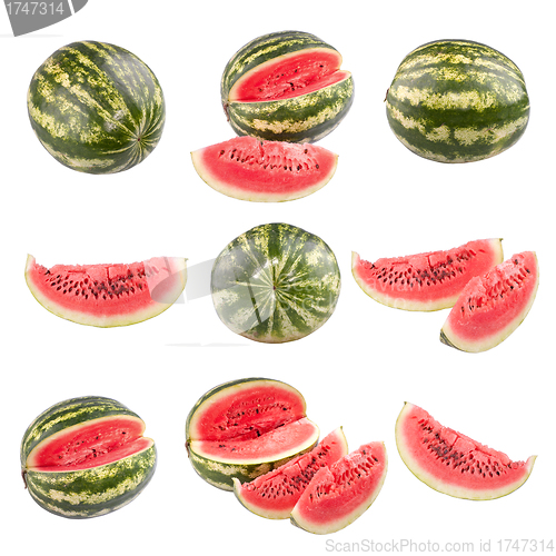 Image of Water melon