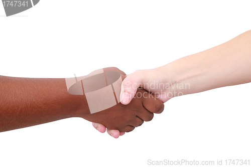 Image of Closeup of people shaking hands black and white 