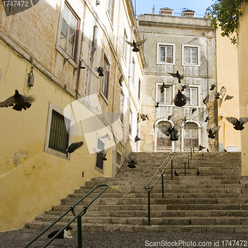 Image of street of Lisbon