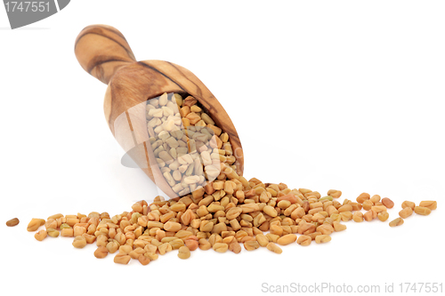 Image of Fenugreek Seed