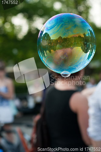 Image of Soap bubble