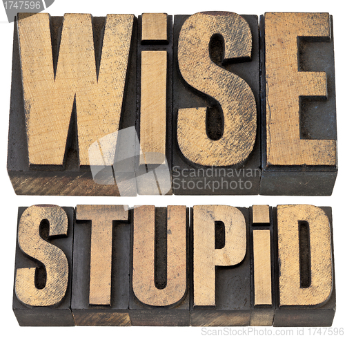 Image of wise and stupid in letterpress wood type