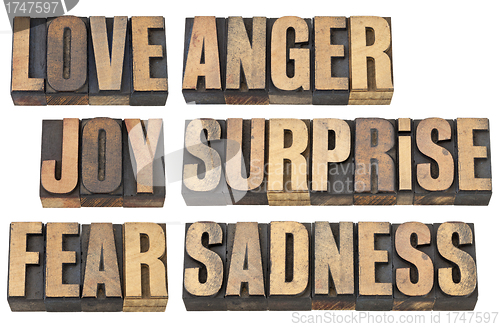 Image of love, fear and other emotions