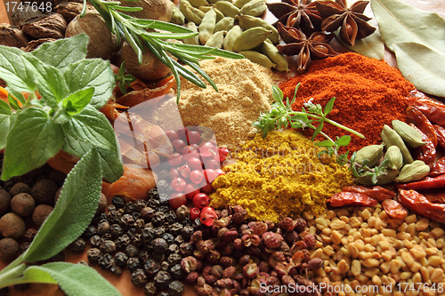 Image of Spices and herbs