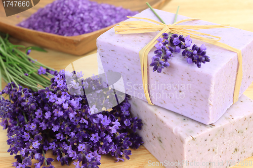 Image of Lavender