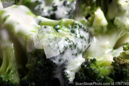 Image of broccoli with a light sauce